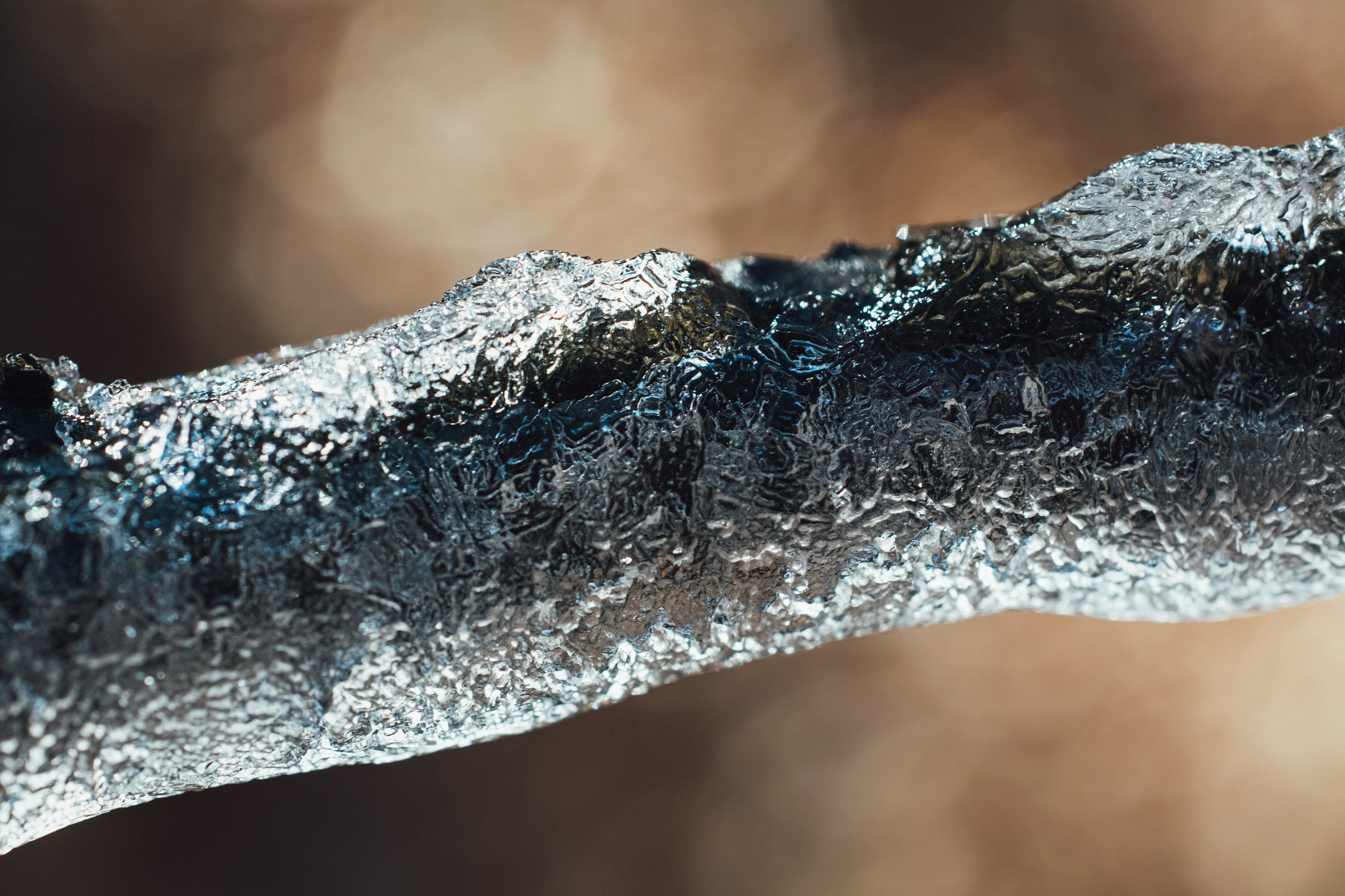 water droplets on gray tree branch